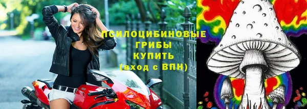сатива Нея