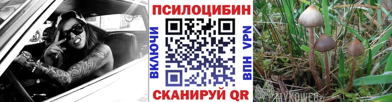 KRAKEN сайт  Алагир  Псилоцибиновые грибы GOLDEN TEACHER 